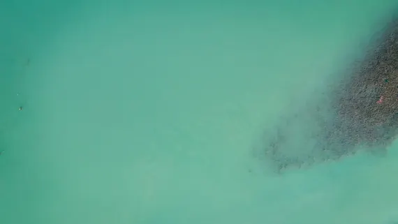 Casino Lucky Luke Supporto